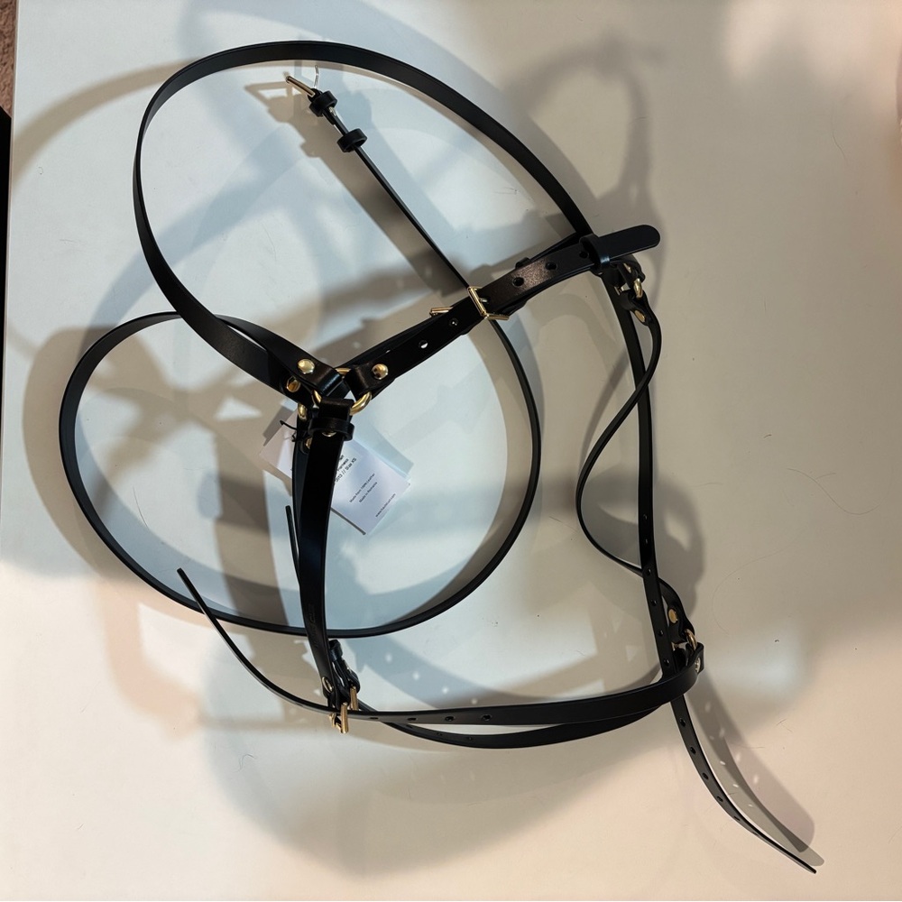 Elegant Black Leather Harness